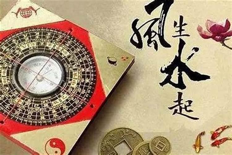 马和牛属相合不合