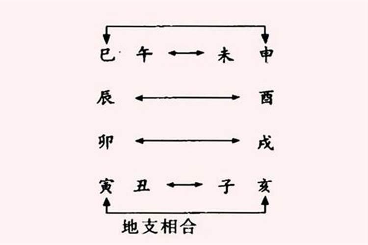 八字十二地支三合六合详细解说