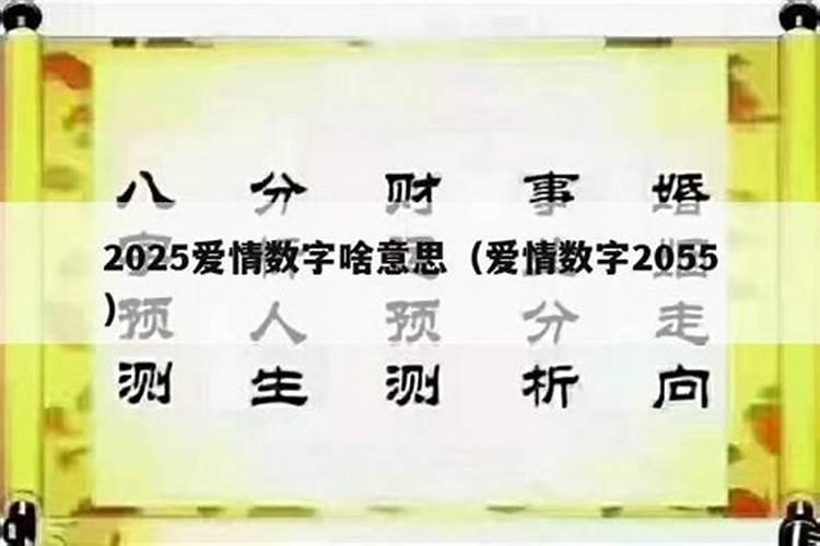 属猪人在2025年的爱情运势如何？