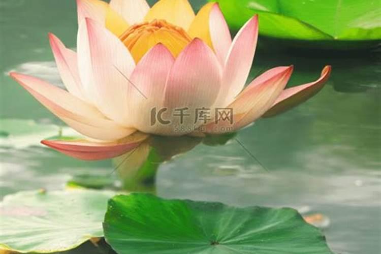 八字身弱不担财是什么 意思