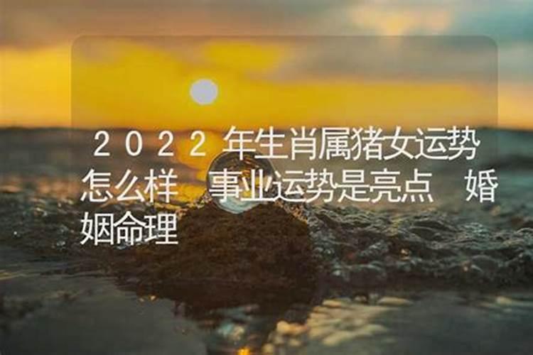 新年祝孩子学业进步的句子怎么写 祝小孩学业有成的话怎么写
