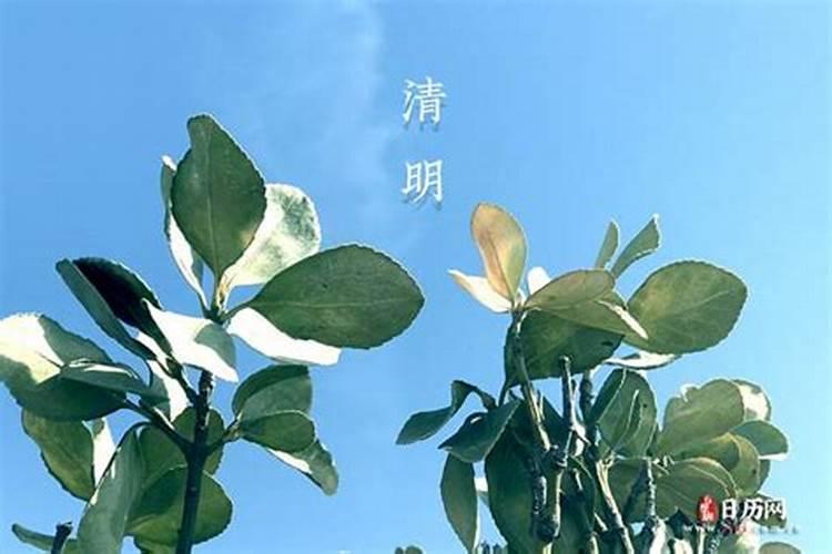清明当天过生日有什么说法