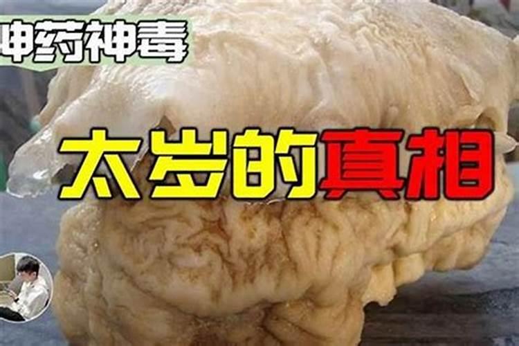 父亲上山捡到一个巨大的肉灵芝,儿子看到他扛回家后,直接报了警,为什么...