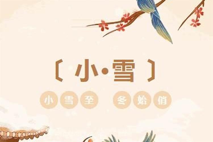 属鼠人7月的命运如何