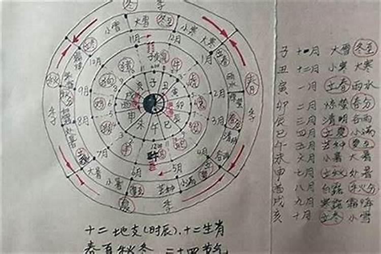 为什么属虎的女人婚姻不顺