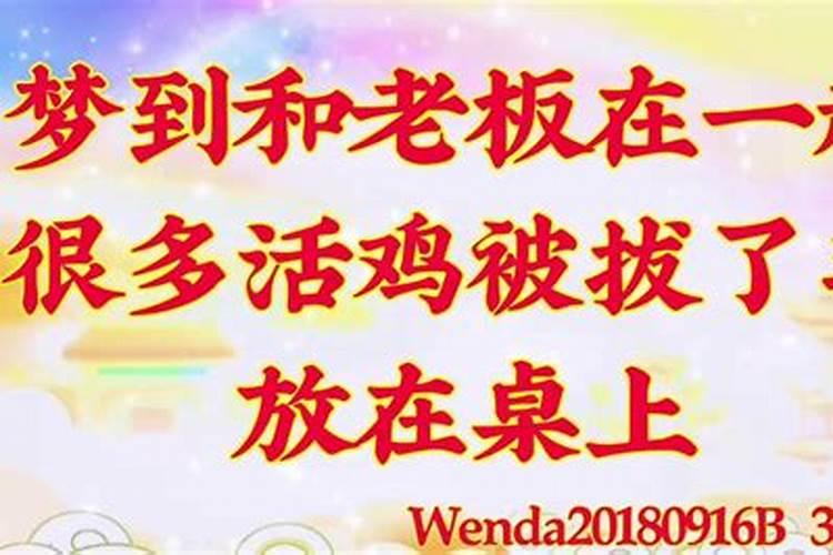 梦见穿棉袄、穿棉袍、穿棉衣