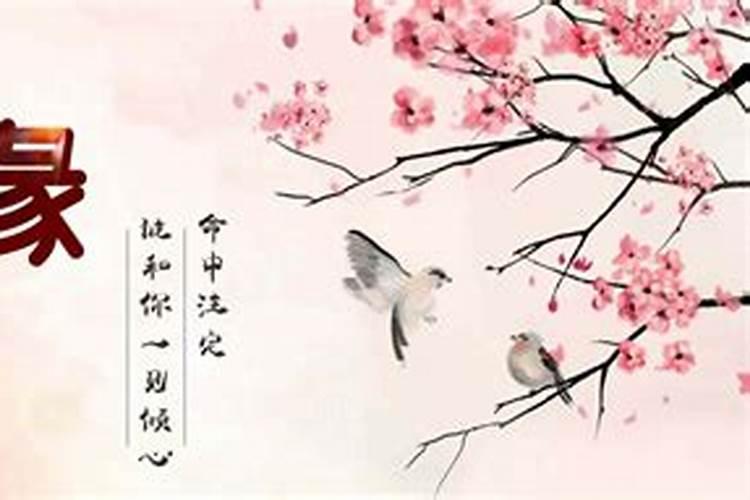 梦见已故前夫又复活