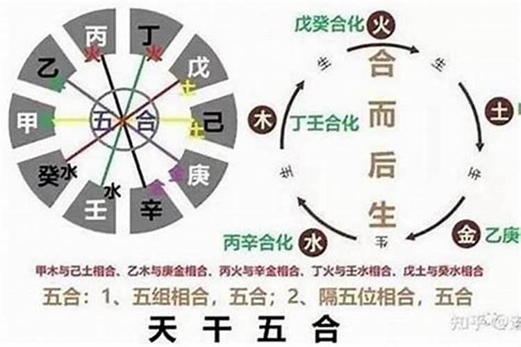 八字十天干五合是什么意思 八字天干五合的条件