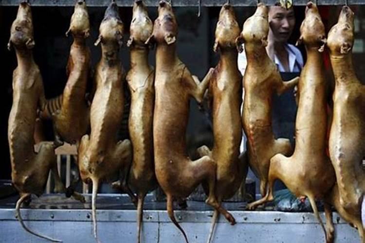 生辰八字是什么意思