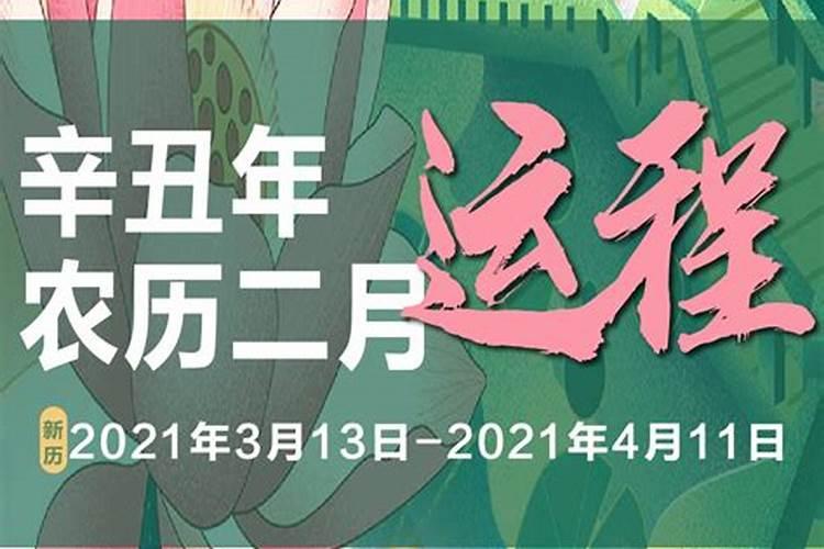 1981年农历2月初六出生的今年运势如何？
