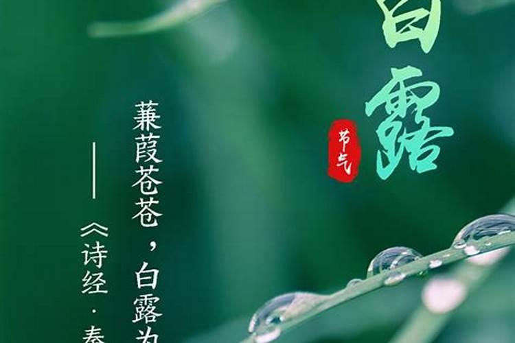 风水先生都无好下场