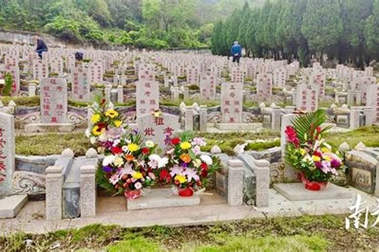 82年的狗出生人在2025年财运运气健康好不好