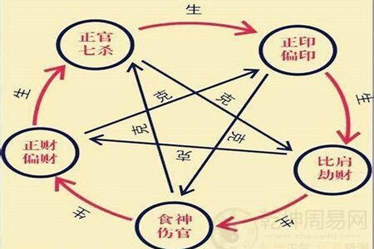 八字十神什么意思