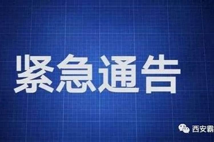 属蛇的2025的全年运势