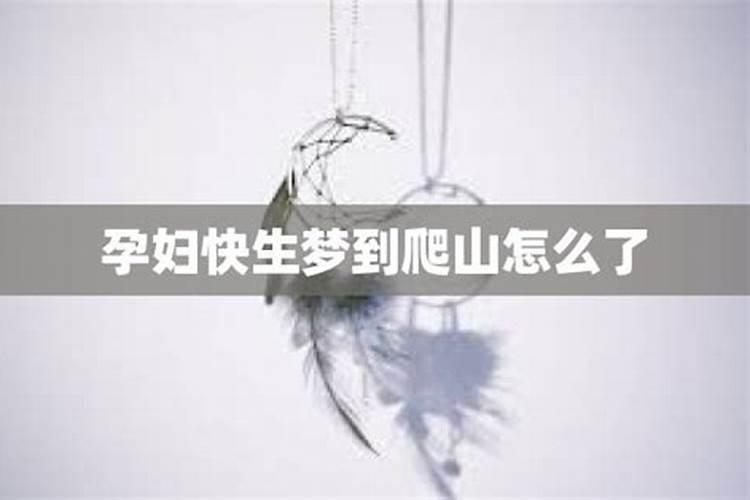 奇门遁甲准还是八字准