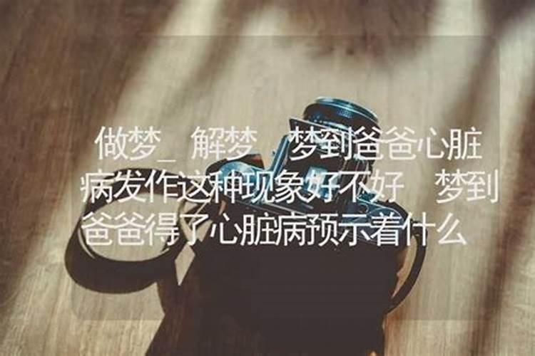 梦见会飞的蛇追自己和家人的预兆