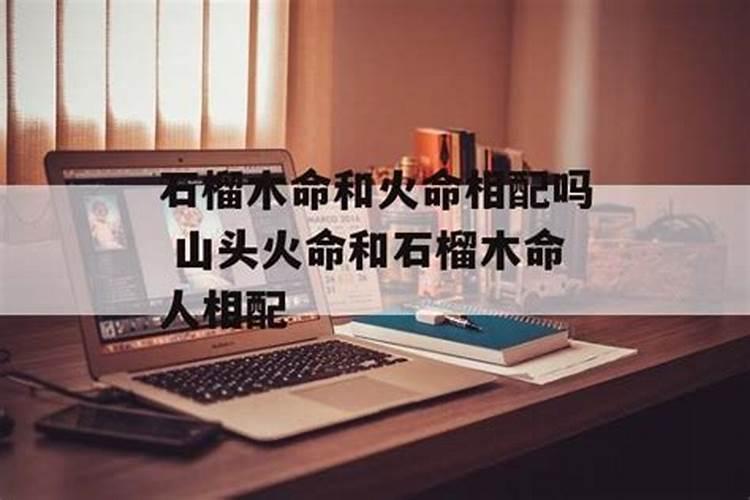 石榴木妻子天上火丈夫长流水儿子沙中金女儿家庭组合好不好