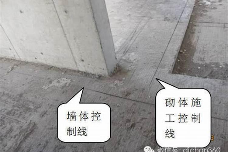 梦见三只狗代表什么？