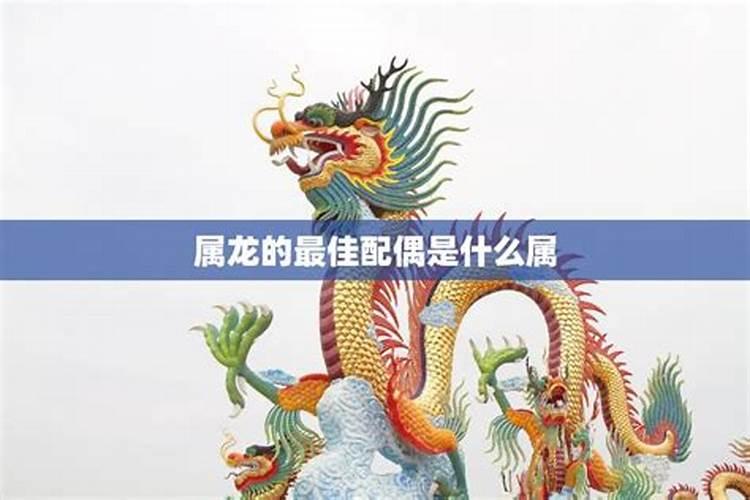 属龙的人和什么属相最般配