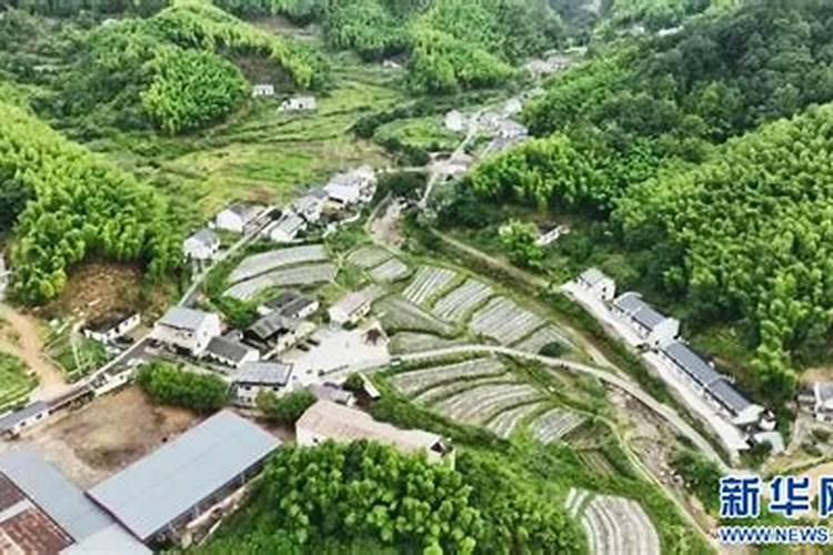 梦见棺材和死人抬到家里是什么意思