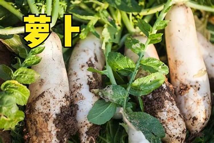 梦见熟悉女人向我借钱