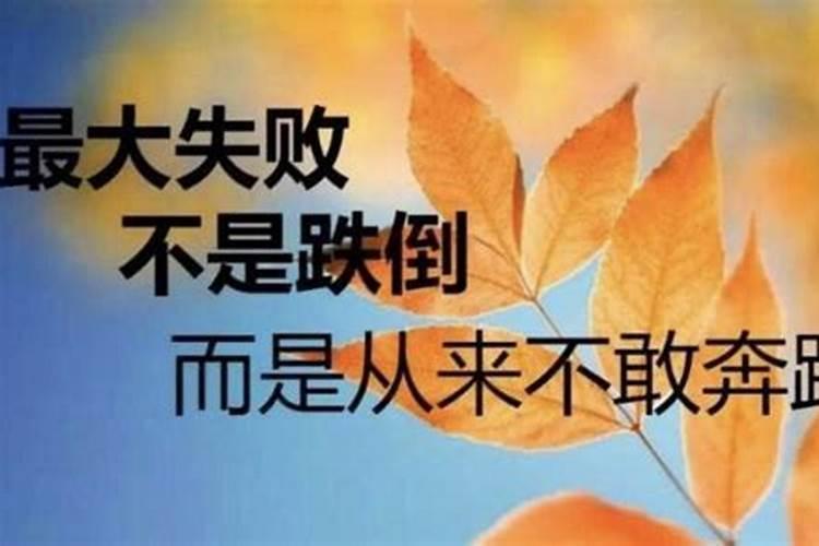 04年属猴女命2024年运势运程
