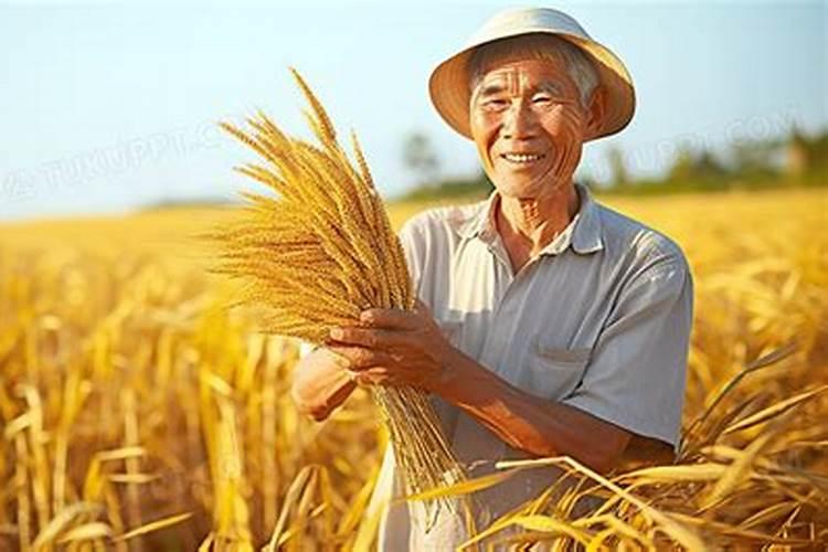 猪年2025年的运势怎么样