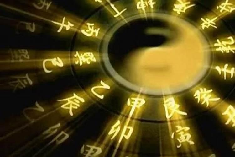 梦见老板发红包不发给我的预兆