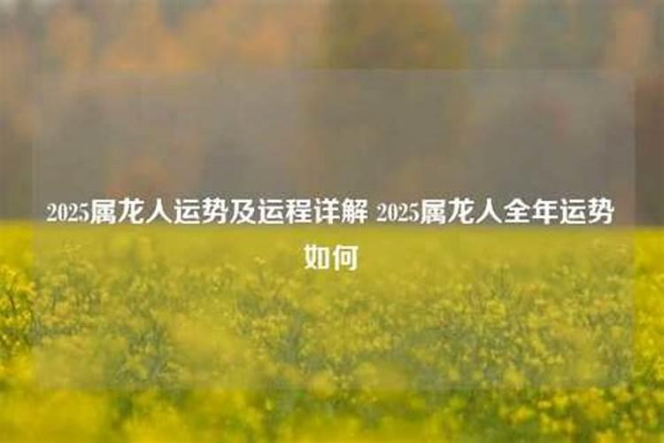 2025年属兔的犯太岁吗