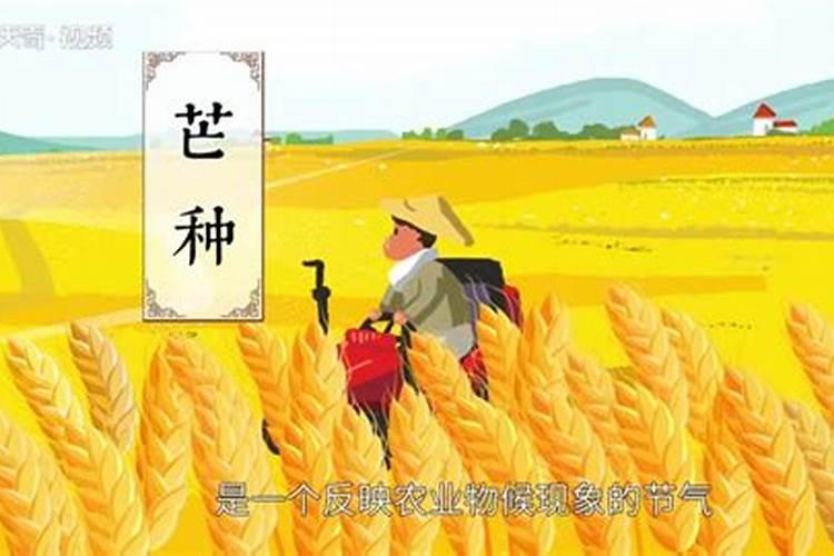 女命带天德贵人是什么意思