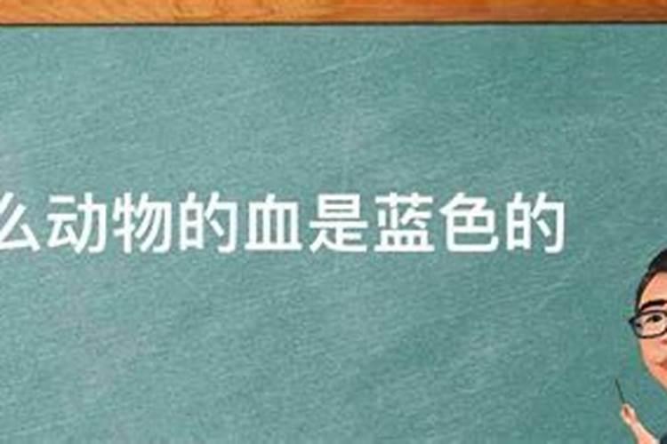 正月初五怎样迎财神爷