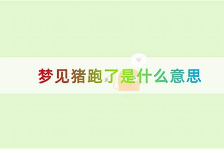 2025年4月4号幸运生肖