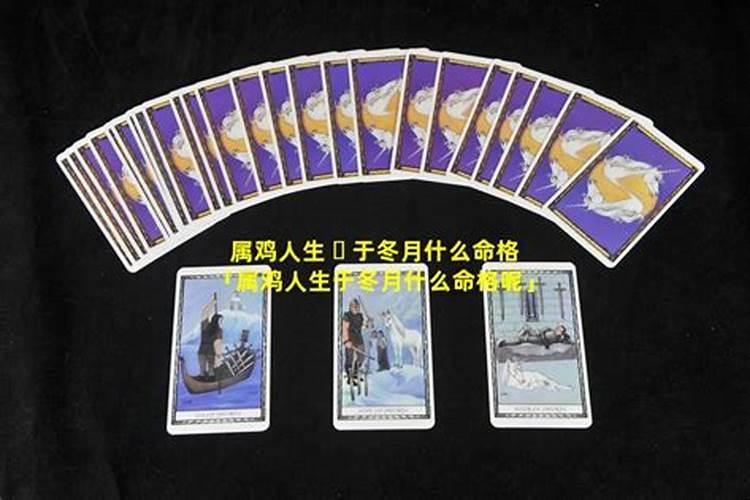 生于1970年冬月初一戌时生人一生命运怎么样