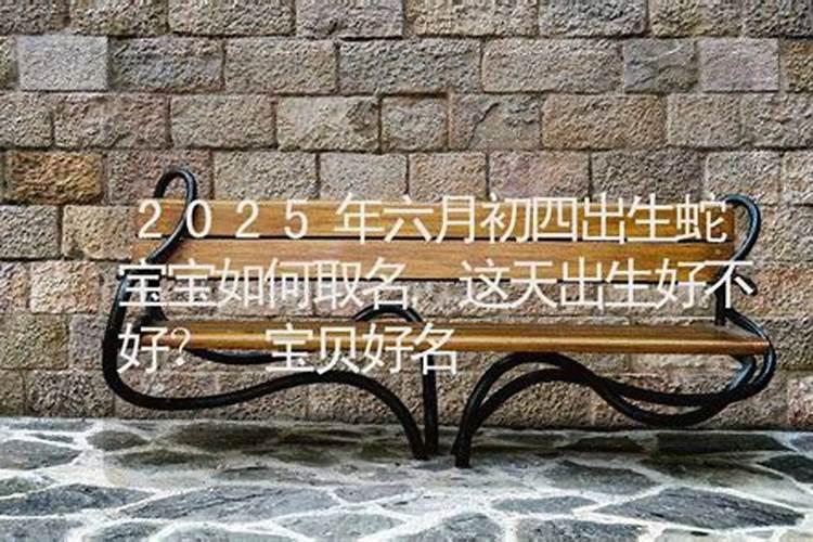属猪2025年运势及运程