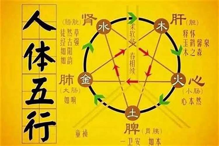 什么是八字五行的同类和异类,还有怎么算分？