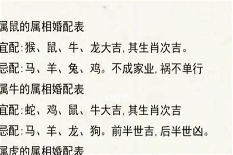 男女婚配属相表可以相信吗,属相婚配可以相信吗