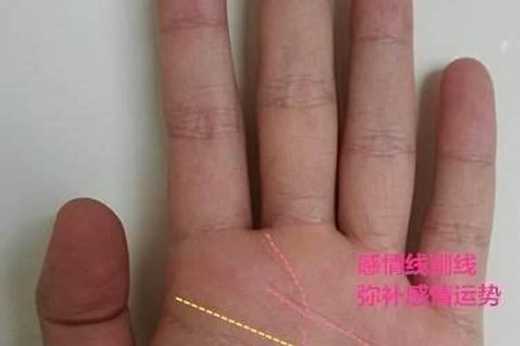 我是双断掌,女,1992年2月9日出生,左手假断掌,右手真断掌,边个可以帮我...