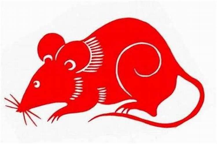 鼠年本命年 属鼠运气如何