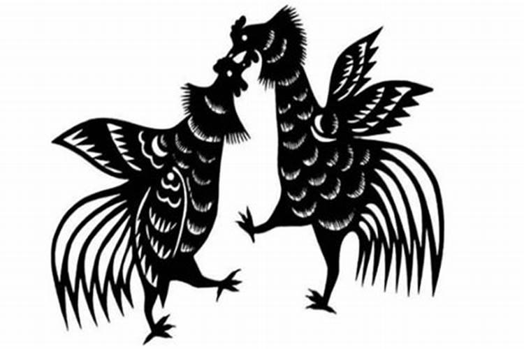 1993年属鸡的一生命运 93年鸡女一生几道坎