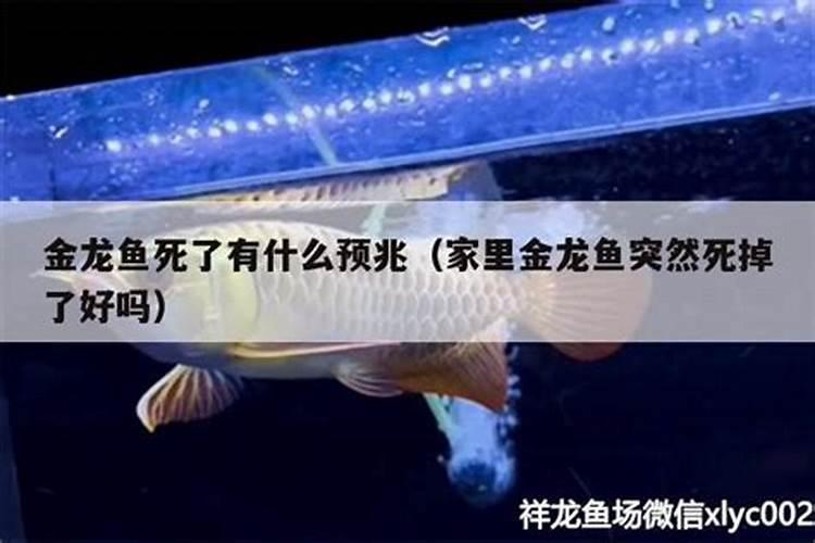 77年男属蛇85年女属牛配吗？
