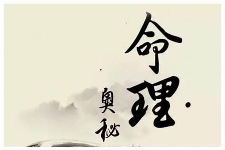 属猪人相冲相害相刑生肖生肖猪最忌讳的三个属相？