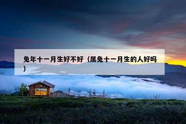 1988年属龙男农历十一月十二日亥时出生好吗