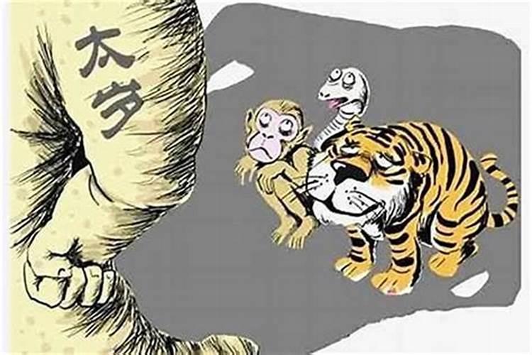2025犯太岁五大生肖属相