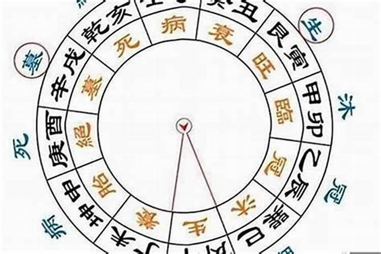 1998年属虎女高考运势,状元有望吗？