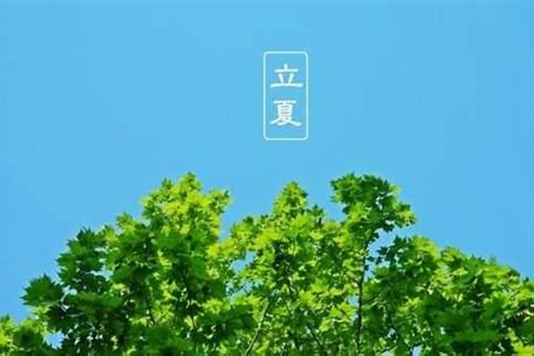 梦见清明节去上坟