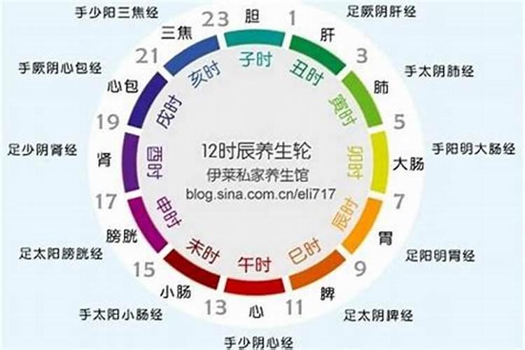 属蛇人2025年每月运势运程每月