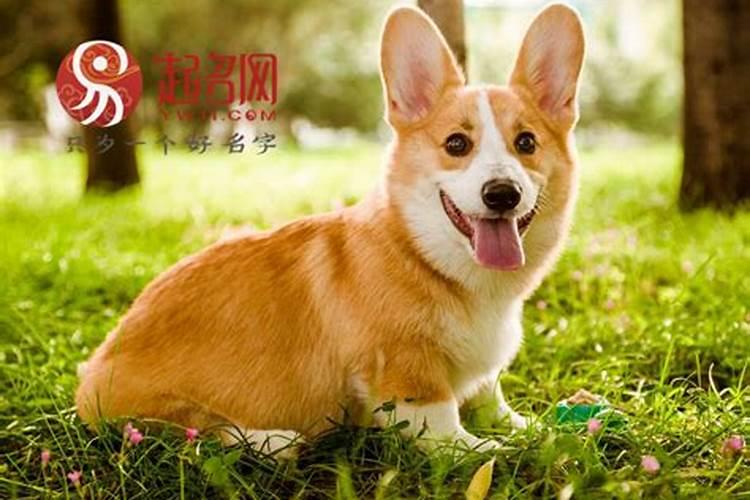 信了耶稣还能去信佛吗