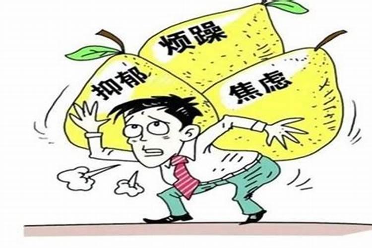 2025属狗百年难遇几月出生好