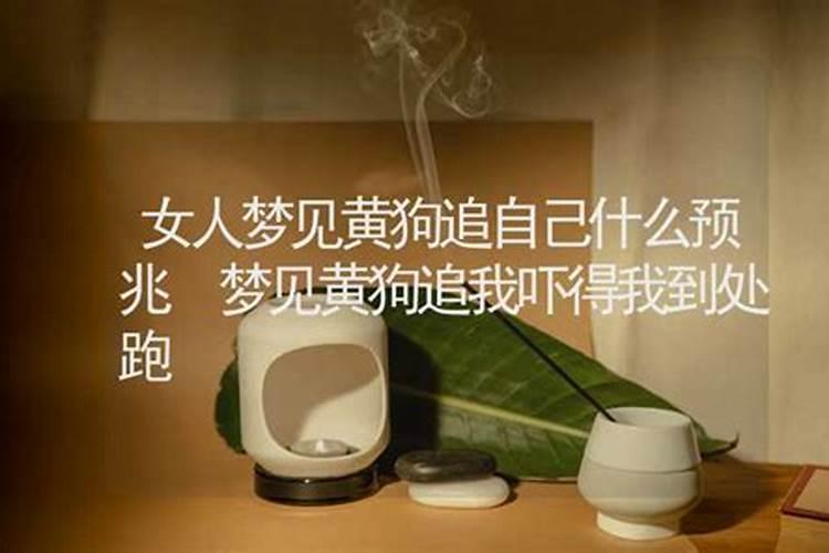 不同年份出生的属狗男女2024年运程