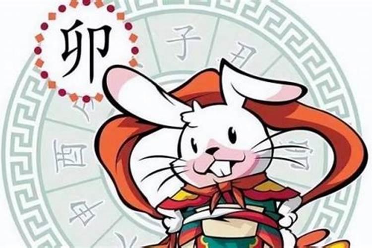 属兔人2025年综合运势